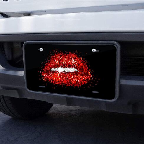Front License Plate Cover Decor,Aluminum Noverlty License Plate Decorative Car Front, Metal License Plate,Vanity Tag,Decorative Signs 6X12 Inch - Steering Compass in Saudi Arabia