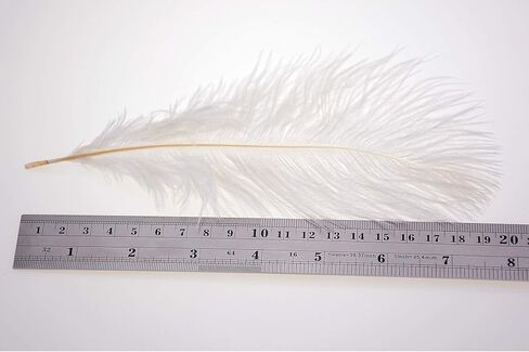 50Pcs 15-20cm Real Natural White Home Decor Ostrich Feathers Party Wedding Decorations Feather in Saudi Arabia