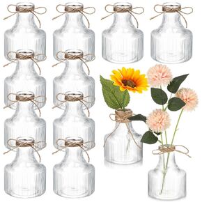 12 Pcs 5 Inch Small Plastic Flower Bud Vases Aesthetic Centerpieces Decorative Cylinder Vase Bulk for Wedding Home Table Decorations Flower Plant Propagation with 260 ft Twine