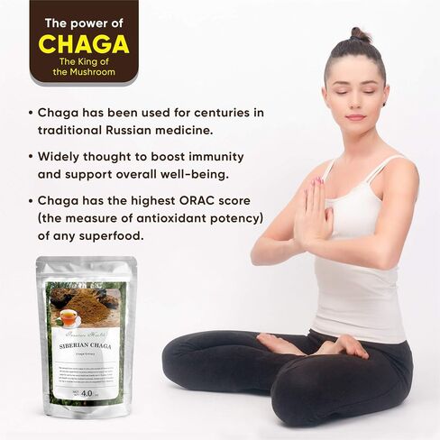 Raw Organic Wild Chaga Powder, 100% Natural Wild Harvested Chaga Mushroom in Siberian Forests, Healthy Immune System Supporter - Antioxidant Tea Supplement - (4.0 oz) in Saudi Arabia