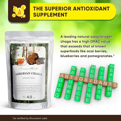 Raw Organic Wild Chaga Powder, 100% Natural Wild Harvested Chaga Mushroom in Siberian Forests, Healthy Immune System Supporter - Antioxidant Tea Supplement - (4.0 oz) in Saudi Arabia