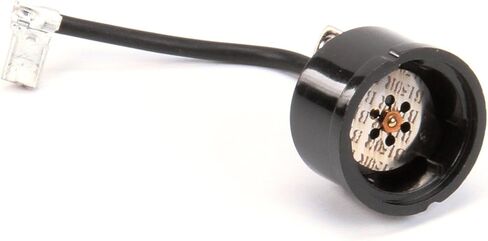 صحيح 802289، الزائد in Saudi Arabia