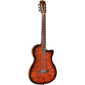 Cordoba Stage 6 String Electric Guitar for Live Performances & Studio Recording, Right-Handed, Solid Spruce Top, Chambered Solid Body, Cutaway, Fusion Neck, Recycled Nylon Shell Gig-Bag (99-750-0110)