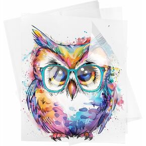 فيلم نقل DTF، 100 ورقة ورق نقل PET، A4 مقاس 8.5 × 11.5 بوصة غير لامع in Kuwait