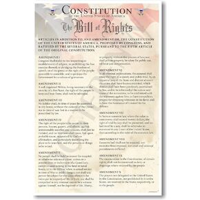 The U.S. Constitution - The Bill of Rights - US History Government Classroom School Poster