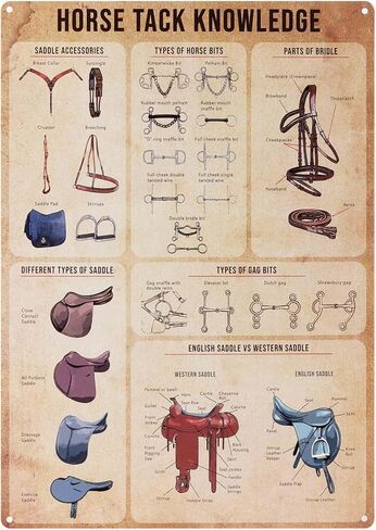 Harrison Howard Metal Tin 40 Horse Breeds of the World Metal Sign Poster for Stable Home Yard Vintage Educational Wall Art 11.8 * 15.8 in Saudi Arabia