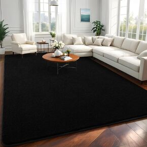 Modern Area Rugs for Bedroom Livng Room, 4x6 Feet Black Memory Foam Solid Indoor Carpets, Machine Washable Rugs Minimalist Low Pile Rug for Kids Room Nursery Home Decor, Black