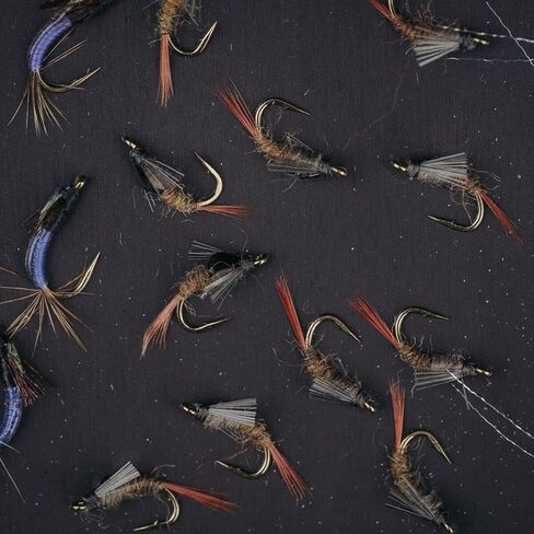 صندوق الطيران الرغوي UMPQUA UPG لعطلة نهاية الأسبوع - حقيبة تخزين الذبابة خفيفة الوزن وخفيفة الوزن ومقاومة للصدمات وسريعة التحميل - منظم أدوات صيد الأسماك، صغير - زيتوني in Kuwait