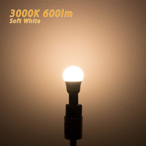 FAGUANGAO E17 Intermediate Base LED G14 Bulbs, 6W 60W Equivalent, 5000K Daylight, 600LM,Globe Light Bulbs for Ceiling Fan, Chandelier Lighting, Not Dimmable, Pack of 4 in Kuwait