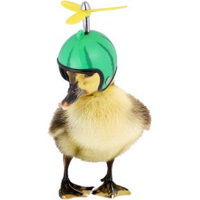 POPETPOP Chicken Helmet- Bird Toy Head Protection Helmet Bird Hat Headwear Suitable for Parrot Small Hens, Ducks and Other Poultry Funny Pet Safety Helmet Costumes Accessories