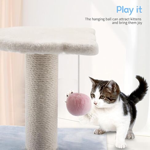 عمود خدش القطط، أداة خدش لطيفة للقطط الداخلية مع السيزال الطبيعي، برج شجرة القطط الصغيرة مع كرة لعبة للقطط الداخلية والقطط الصغيرة in Kuwait