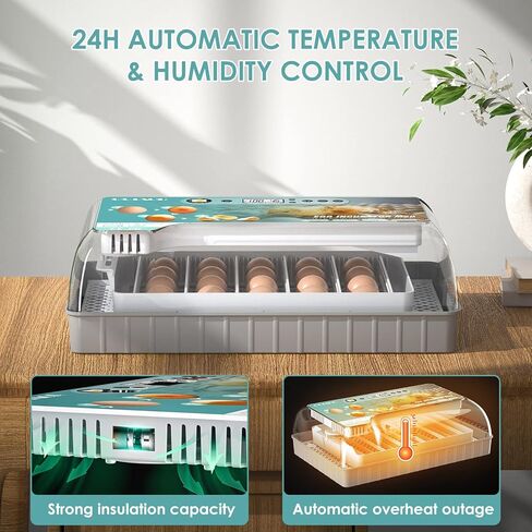 حاضنة رقمية تلقائية مطورة، سعة 12/16/20 (20 بيضة دجاج - شاشة فهرنهايت) in Kuwait