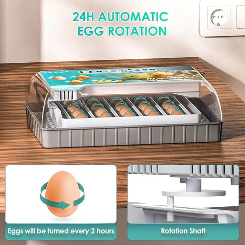 حاضنة رقمية تلقائية مطورة، سعة 12/16/20 (20 بيضة دجاج - شاشة فهرنهايت) in Kuwait