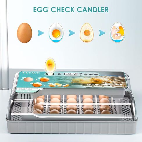 حاضنة رقمية تلقائية مطورة، سعة 12/16/20 (20 بيضة دجاج - شاشة فهرنهايت) in Kuwait
