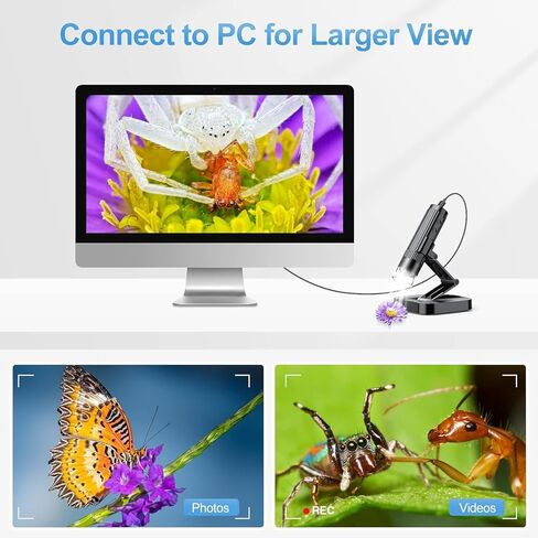 مجهر رقمي تكبير 50X-1000X HD، اتصال USB سلكي، 8 مصابيح LED، مكبر محمول، مجهر USB محمول للعملات المعدنية لأجهزة الكمبيوتر التي تعمل بنظام Windows وiOS (بدون وظيفة لاسلكية) in Kuwait