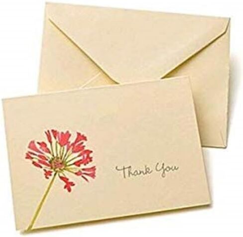 Gartner Studios Pearl Ivory Thank You Cards, 3.5" x 5", Set of 50, Includes Envelopes (61505) in Saudi Arabia