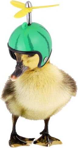 POPETPOP Chicken Helmet- Bird Toy Head Protection Helmet Bird Hat Headwear Suitable for Parrot Small Hens, Ducks and Other Poultry Funny Pet Safety Helmet Costumes Accessories in Saudi Arabia