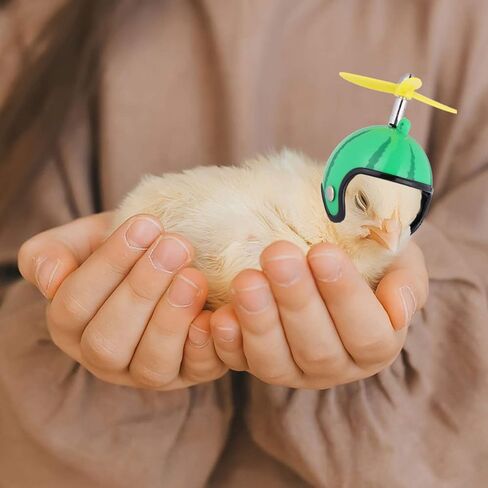 POPETPOP Chicken Helmet- Bird Toy Head Protection Helmet Bird Hat Headwear Suitable for Parrot Small Hens, Ducks and Other Poultry Funny Pet Safety Helmet Costumes Accessories in Saudi Arabia