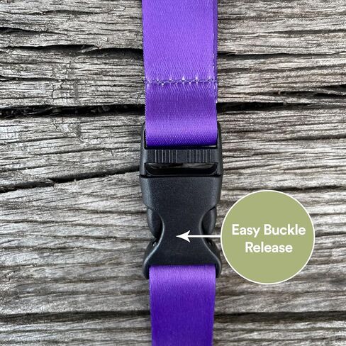 Desert Cactus University of Wisconsin Stevens Point Lanyard UWSP Pointers Car Keys ID Badge Holder Keychain Detachable Breakaway Snap Buckle (Purple) in Saudi Arabia