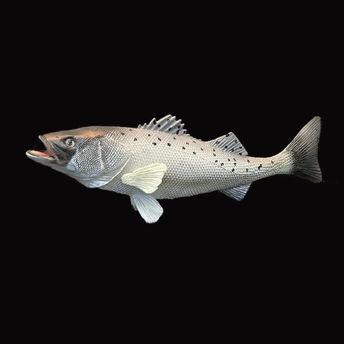 محاكاة الأسماك الحلي محاكاة حوض السمك الأسماك أسماك البحر الاصطناعية بو الأسماك الاصطناعية محاكاة الأسماك الصغيرة نابض بالحياة الأسماك وهمية ألعاب أطفال الأطفال الأسماك البلاستيكية التوضيح المأكولات البحرية in Kuwait