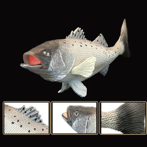 محاكاة الأسماك الحلي محاكاة حوض السمك الأسماك أسماك البحر الاصطناعية بو الأسماك الاصطناعية محاكاة الأسماك الصغيرة نابض بالحياة الأسماك وهمية ألعاب أطفال الأطفال الأسماك البلاستيكية التوضيح المأكولات البحرية in Kuwait