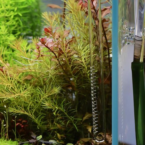 Glass Inflow Aquarium Lily Pipe (13mm for 1/2''(12/16mm) tubing) in Kuwait