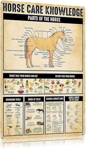 خمر القصدير المشارك الحصان الرعاية المعرفة البلد كوخ معدن القصدير تسجيل 12x16 بوصة الرجعية الفن شريط المنزل مطعم المرآب مقهى جدار ديكور لوحة معدنية in Kuwait