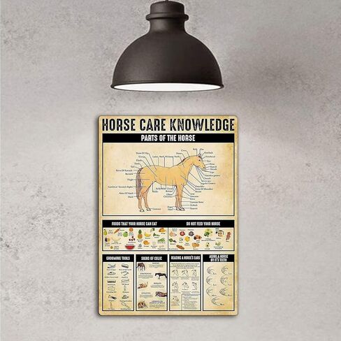 خمر القصدير المشارك الحصان الرعاية المعرفة البلد كوخ معدن القصدير تسجيل 12x16 بوصة الرجعية الفن شريط المنزل مطعم المرآب مقهى جدار ديكور لوحة معدنية in Kuwait