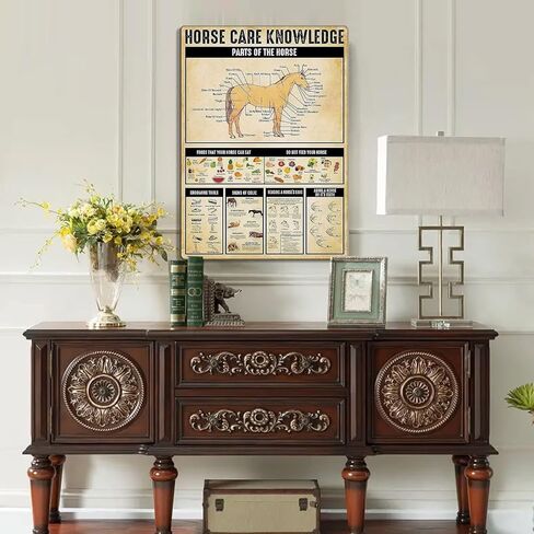 خمر القصدير المشارك الحصان الرعاية المعرفة البلد كوخ معدن القصدير تسجيل 12x16 بوصة الرجعية الفن شريط المنزل مطعم المرآب مقهى جدار ديكور لوحة معدنية in Kuwait