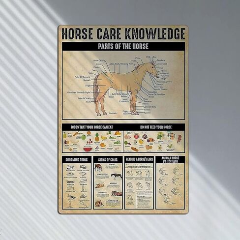 خمر القصدير المشارك الحصان الرعاية المعرفة البلد كوخ معدن القصدير تسجيل 12x16 بوصة الرجعية الفن شريط المنزل مطعم المرآب مقهى جدار ديكور لوحة معدنية in Kuwait