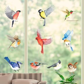 DECOWALL CDS2-9001 Anti-Collision Window Clings Bird Alert Collision Decals to Prevent Bird Strikes on Window Glass - Set of 10 Garden Birds