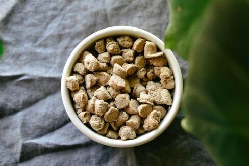 Freeze Dried Raw Nuggs 9 oz (255 g) (Pork) in Saudi Arabia
