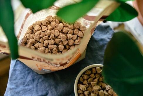 Freeze Dried Raw Nuggs 9 oz (255 g) (Pork) in Saudi Arabia