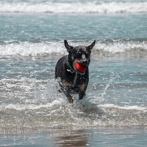 كرة ارتداد المياه من تاكتزيت، كرة مشي مطاطية ناعمة، 3 عبوات من كرات تخطي كرات سبلاش لكرة الضغط على حمام السباحة in Kuwait