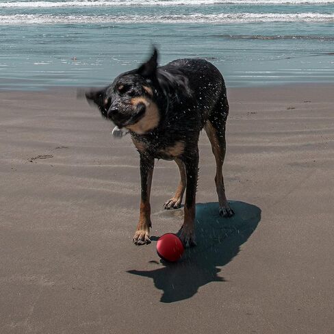 كرة ارتداد المياه من تاكتزيت، كرة مشي مطاطية ناعمة، 3 عبوات من كرات تخطي كرات سبلاش لكرة الضغط على حمام السباحة in Kuwait