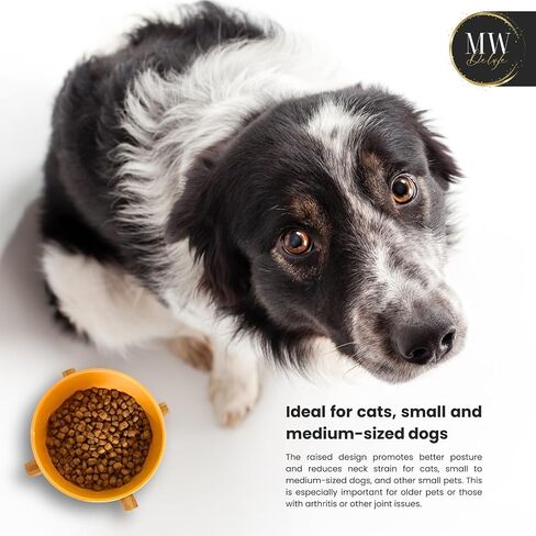 MW Concept Ceramic Bowl for Dog and Cat Food 13.5 OZ | Dog Bowl with Anti Slip Wooden Stand | Ceramic Dog Bowls | Ceramic Bowls for Cats | Pet Feeding Station with Wooden Stand | Bowl for Dogs (Green) in Saudi Arabia