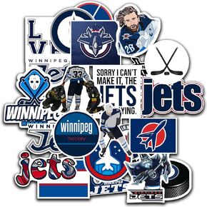 25 PCS American Hockey Stickers for Water Bottle, Laptop, Bicycle, Computer, Motorcycle, Travel Case, Car Decal Decoration Sticker 2-2.5 inches