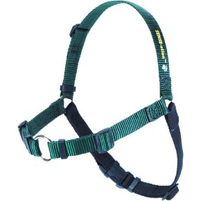 No-Pull Dog Harness (Green, Medium) by Sense-Ation Harness