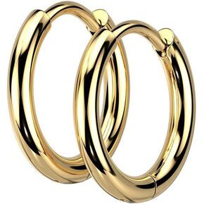 18GA 316L Stainless Steel 2mm Thick Hinged Round Hoop Earrings, Sold as a Pair