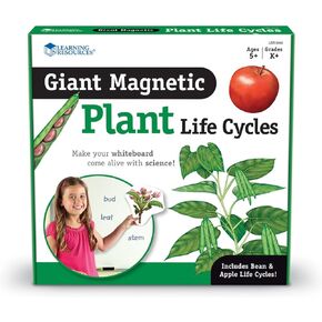 Learning Resources Giant Magnetic Plant Life Cycle,Multi-color,7 in L X 9 in H