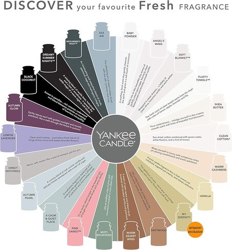 يانكي كاندل 5038580059700 برطمان سيارة بجوز الهند الأسود النهائي YCJUBC2، مقاس واحد in Kuwait