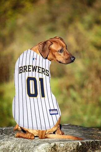 MLB Jersey for Dogs & Cats - Baseball Milwaukee Brewers Pet Jersey, Medium. in Saudi Arabia