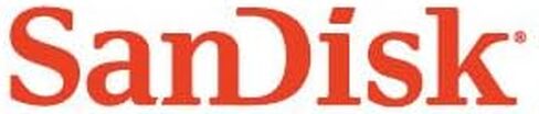 SanDisk Professional 24TB G-Drive Enterprise-Class External Desktop Hard Drive - 7200RPM Ultrastar HDD Inside, USB-C (10Gbps), USB 3.2 Gen 2, Mac Ready - SDPHF1A-024T-NBAAD in Saudi Arabia