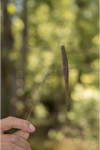 Berkley Berkley PowerBait MaxScent Hit Worm in Saudi Arabia