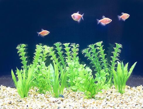 Penn-Plax Plastic Aquarium Plant Bundle – Realistic Appearance and Gentle Texture – Multicolor – 18 Pieces in Saudi Arabia