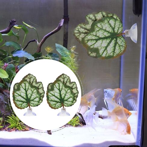 POPETPOP Floating Aquarium Plants 2pcs Beta Fish Leaf Bed Aquarium Green Plant Leaf Hammock Suction Cup Fish Tank Betta Fish Leaf Lounger Landscape Decoration Ornaments Betta Tank in Saudi Arabia