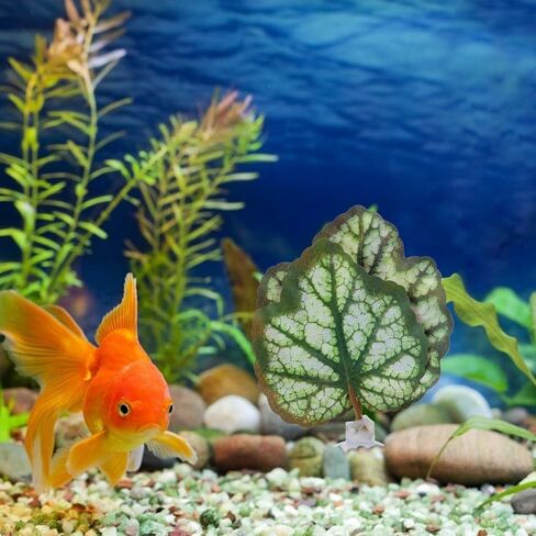 POPETPOP Floating Aquarium Plants 2pcs Beta Fish Leaf Bed Aquarium Green Plant Leaf Hammock Suction Cup Fish Tank Betta Fish Leaf Lounger Landscape Decoration Ornaments Betta Tank in Saudi Arabia