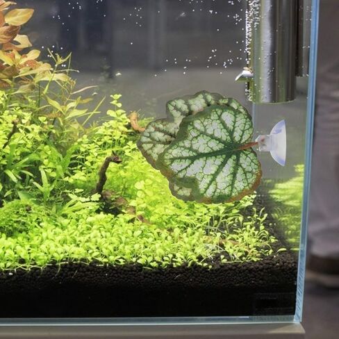 POPETPOP Floating Aquarium Plants 2pcs Beta Fish Leaf Bed Aquarium Green Plant Leaf Hammock Suction Cup Fish Tank Betta Fish Leaf Lounger Landscape Decoration Ornaments Betta Tank in Saudi Arabia