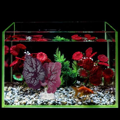POPETPOP Floating Aquarium Plants 2pcs Beta Fish Leaf Bed Aquarium Green Plant Leaf Hammock Suction Cup Fish Tank Betta Fish Leaf Lounger Landscape Decoration Ornaments Betta Tank in Saudi Arabia