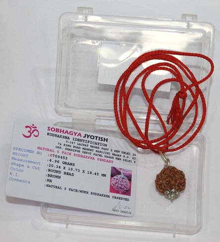 IndianStore4All 6 موكي نيبال رودراكشا بينادنت 100% أصلي ذو ستة وجوه رودراكشا in Saudi Arabia